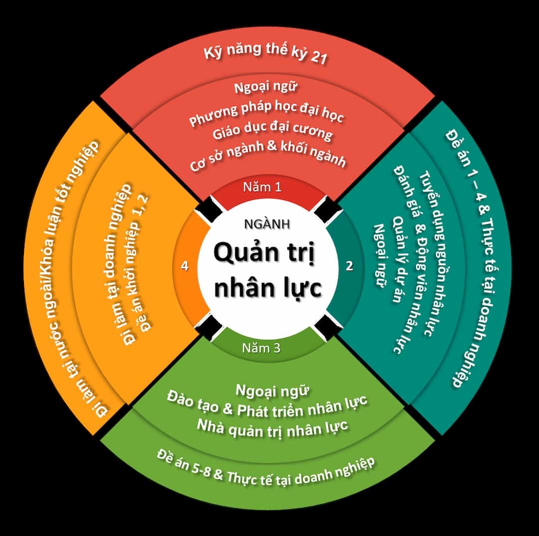 Vai trò của quản trị nhân lực