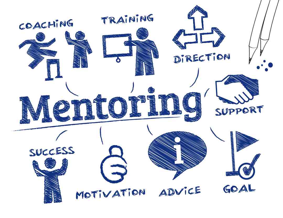 Công việc của Mentor là tạo ra một môi trường học tập thân thiện và sáng tạo